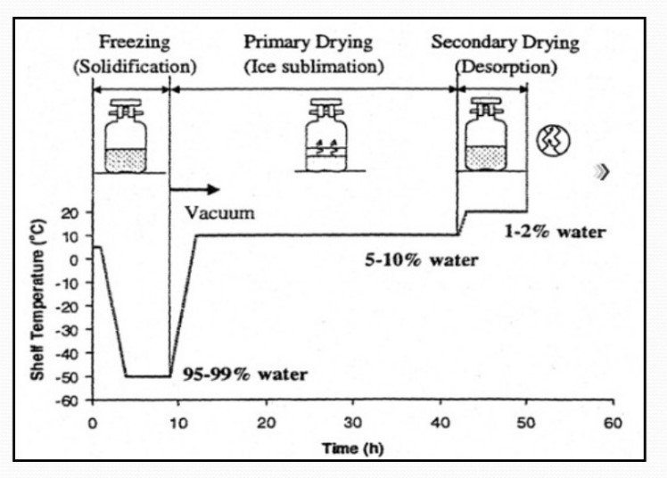 https://upload.wikimedia.org/wikipedia/commons/0/0a/Lyophilisation_Process.jpg