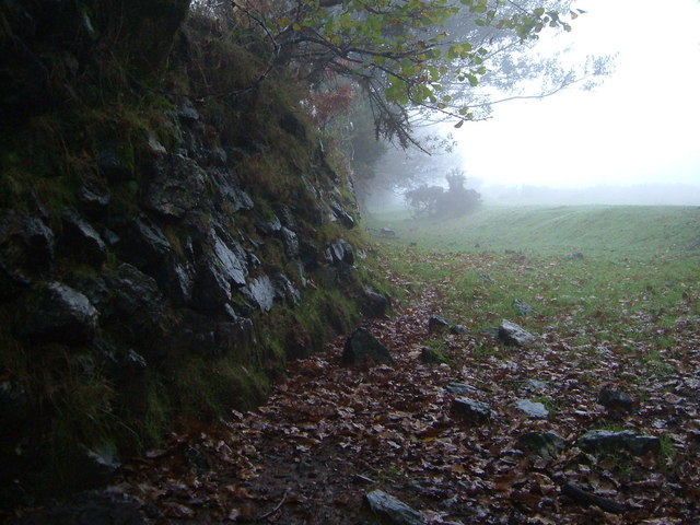 File:Moor's edge near Headon Gate - geograph.org.uk - 268490.jpg