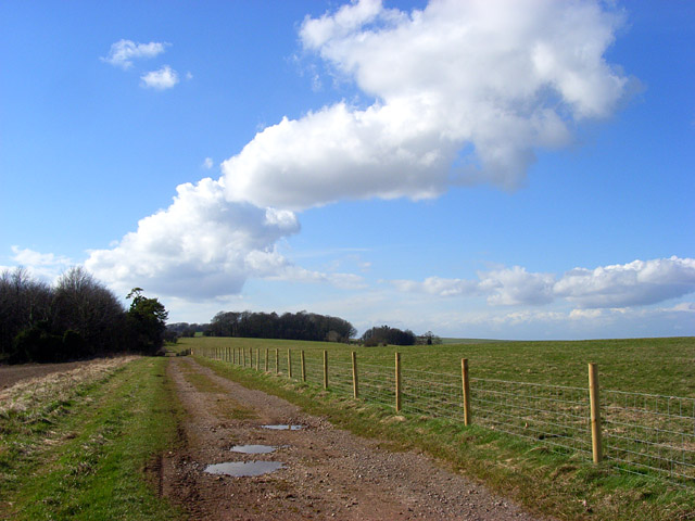 File:Near Down - geograph.org.uk - 726455.jpg