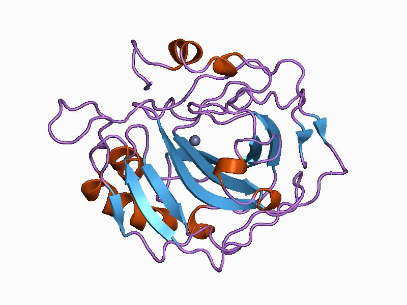 File:PDB 1cct EBI.jpg