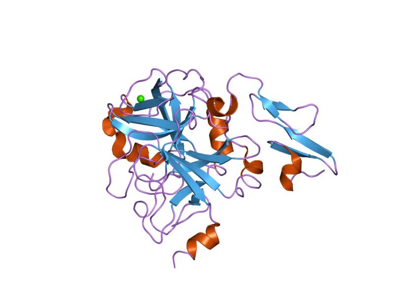 File:PDB 1klj EBI.jpg