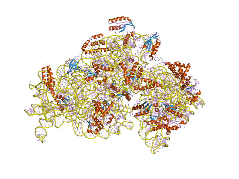 S4 protein domain