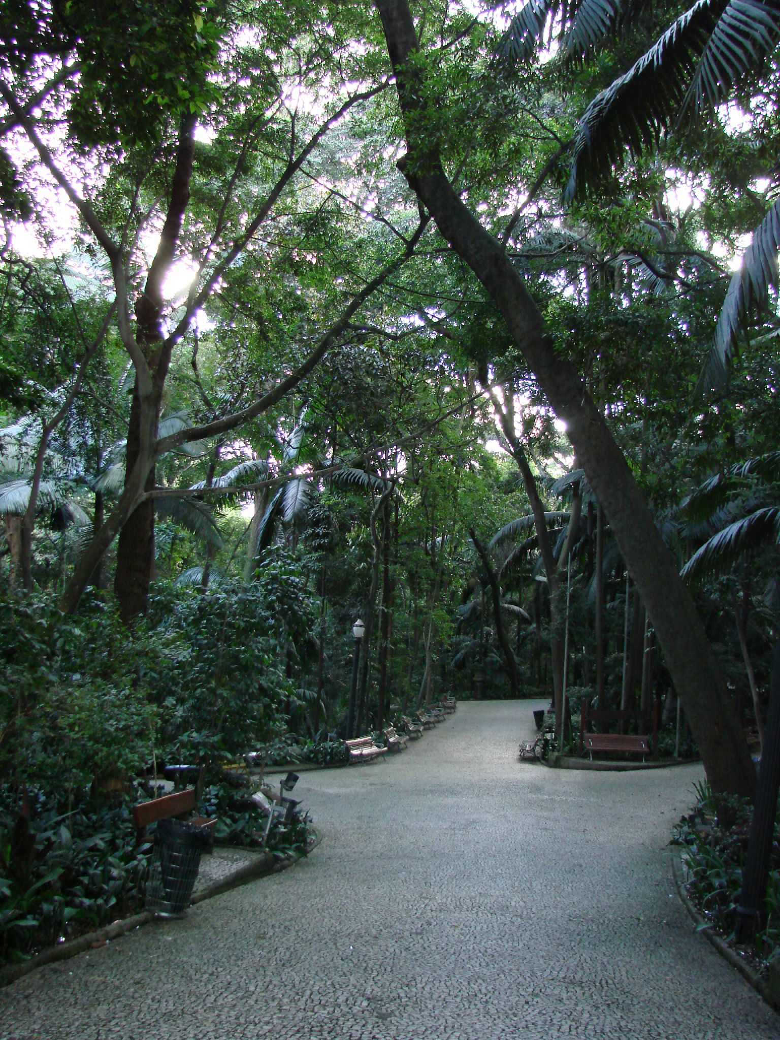 Parque Trianon, lugar ao ar livre em São Paulo na Avenida Paulista