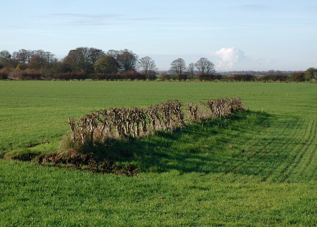 File:Southwest of Mappleton - geograph.org.uk - 615539.jpg