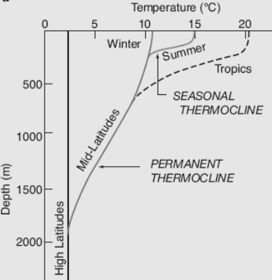 Graph of different thermoclines (depth versus temperature) based on seasons and latitude