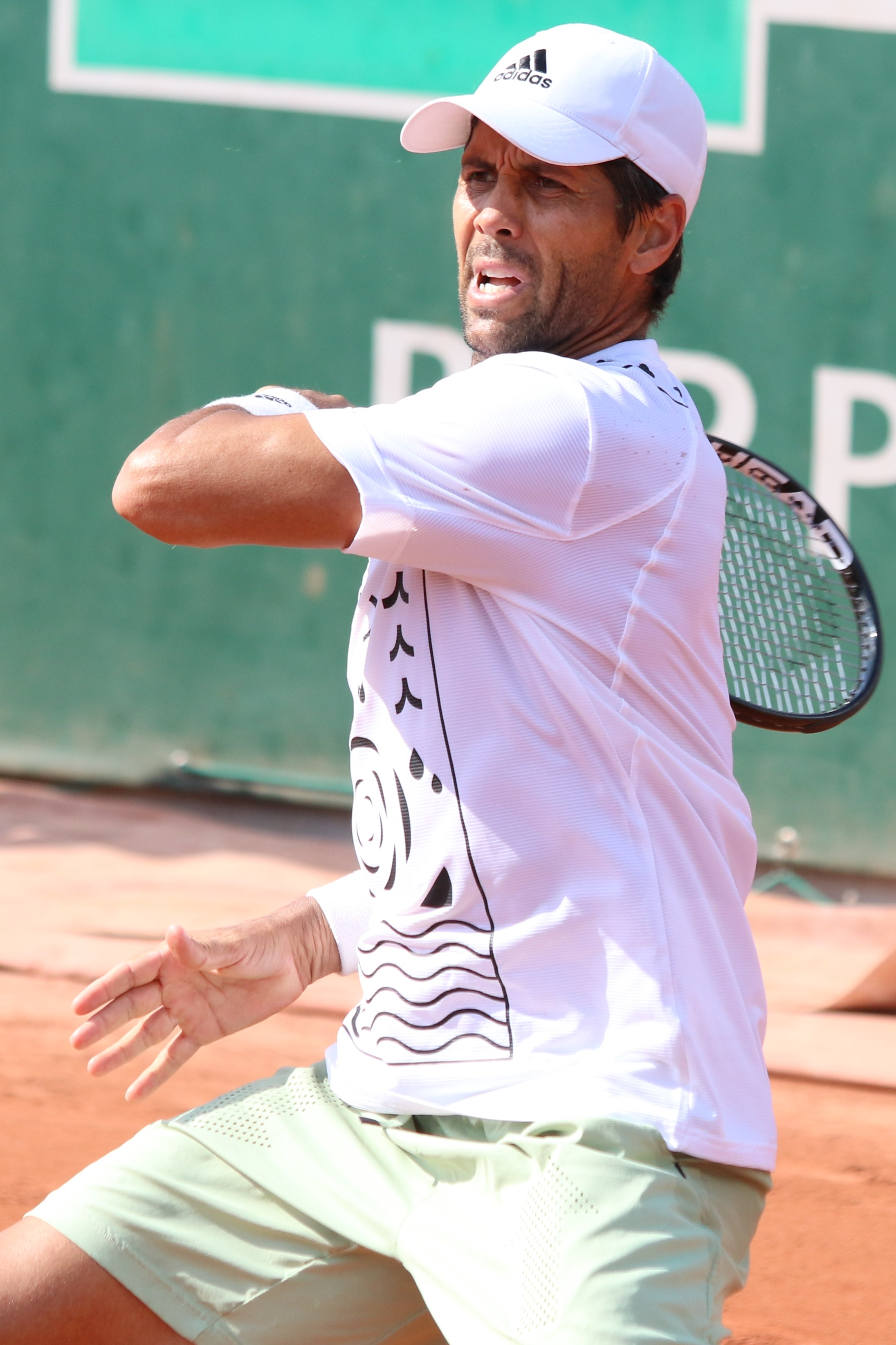 Fernando Verdasco - Wikipedia