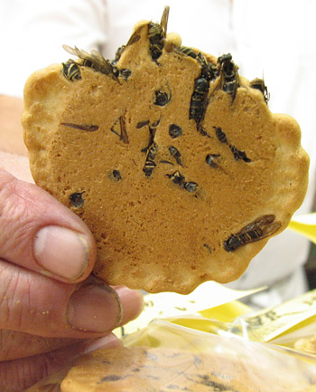 File:Wasp cookie japan..jpg