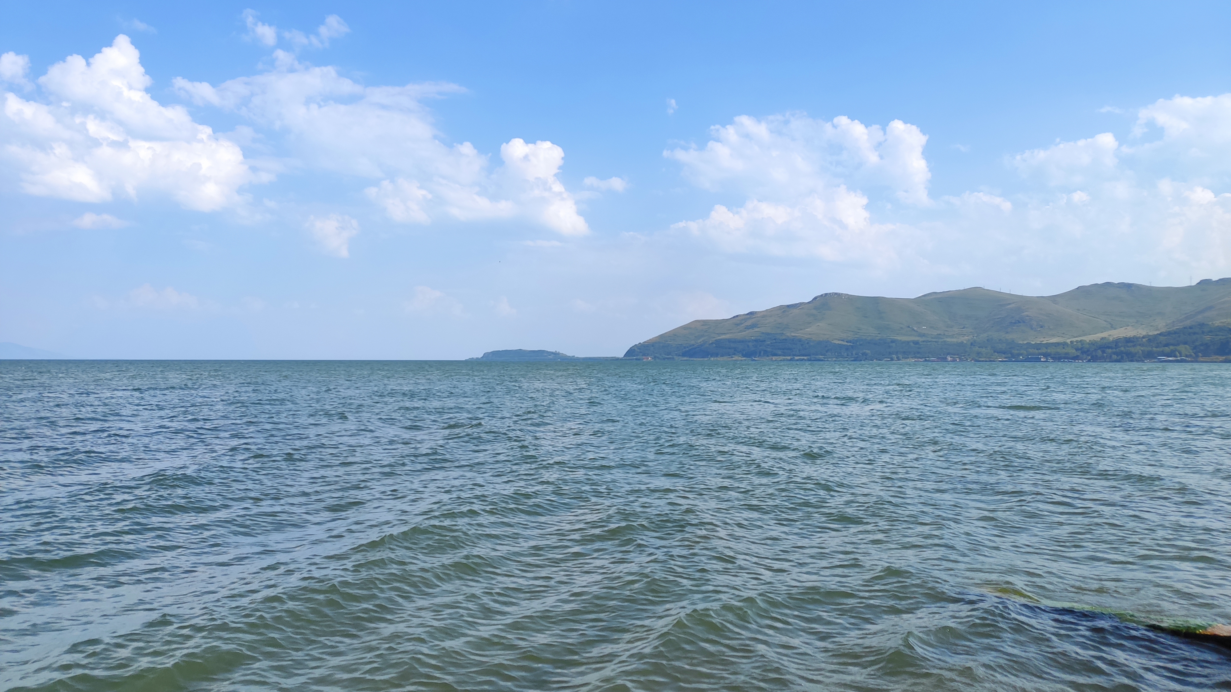 Температура озера севан. Озеро Севан шторм. Птицы озера Севан. Форель озера Севан. Озеро Севан рыба.