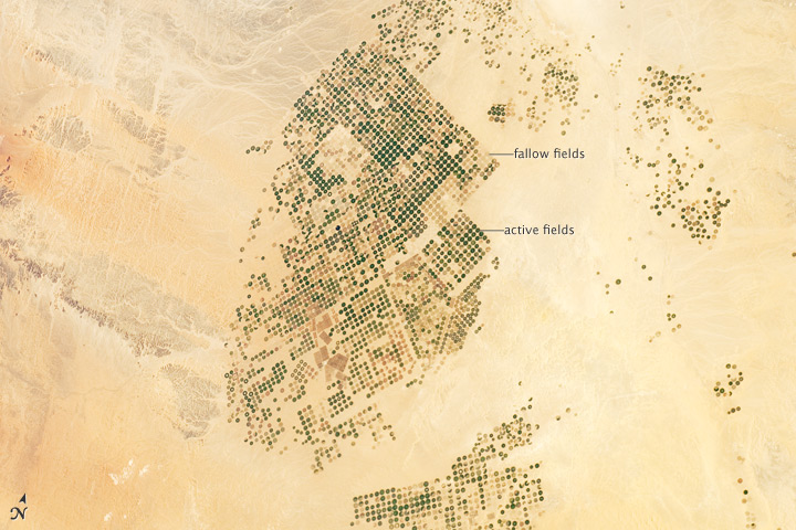 File:Agricultural Fields, Wadi As-Sirhan Basin, Saudi Arabia - NASA Earth Observatory.jpg