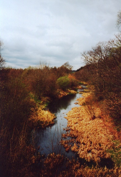 Barnsley Canal in Haw Park Woods