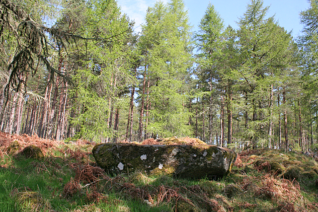 File:Blue Cairn of Ladieswell (7) (geograph 4951460).jpg