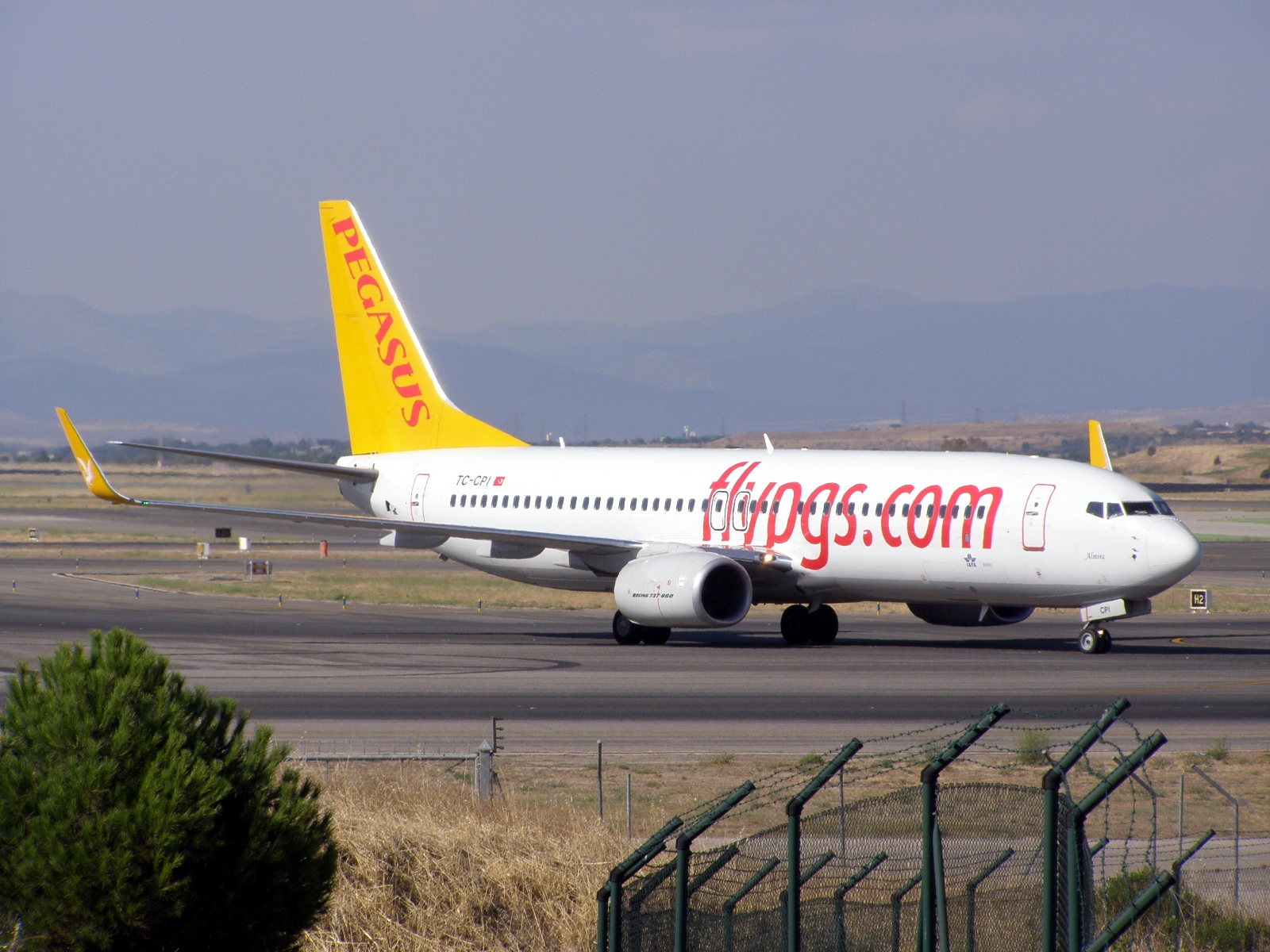 Боинг 737 Пегасус. Boeing 737-800 Pegasus Airlines. Пегасус Аирлинес Boeing 737-800. Боинг 737-800 Пегас.