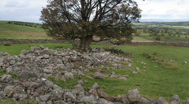 File:Bracken Heads - geograph.org.uk - 1521733.jpg