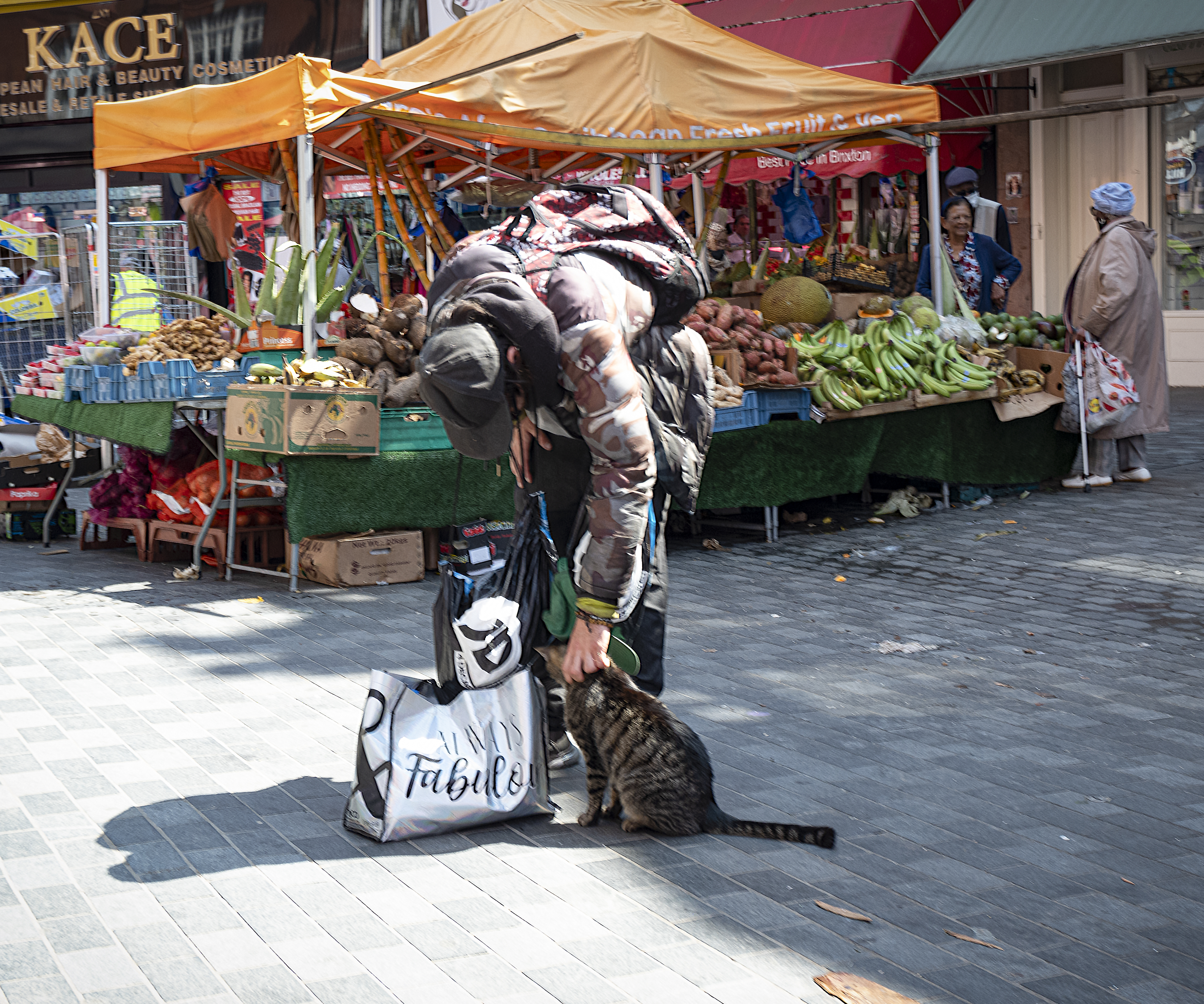 Маркет кошки. Market Cat.