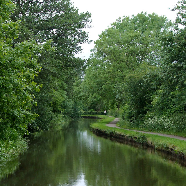 Canal s