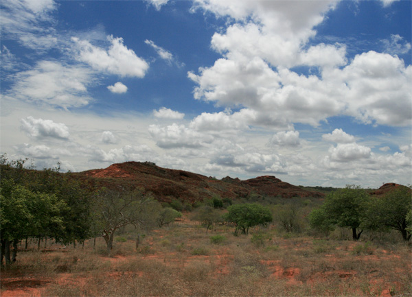 File:Conservation area -Bahia - Brazil-17Dec2007.jpg