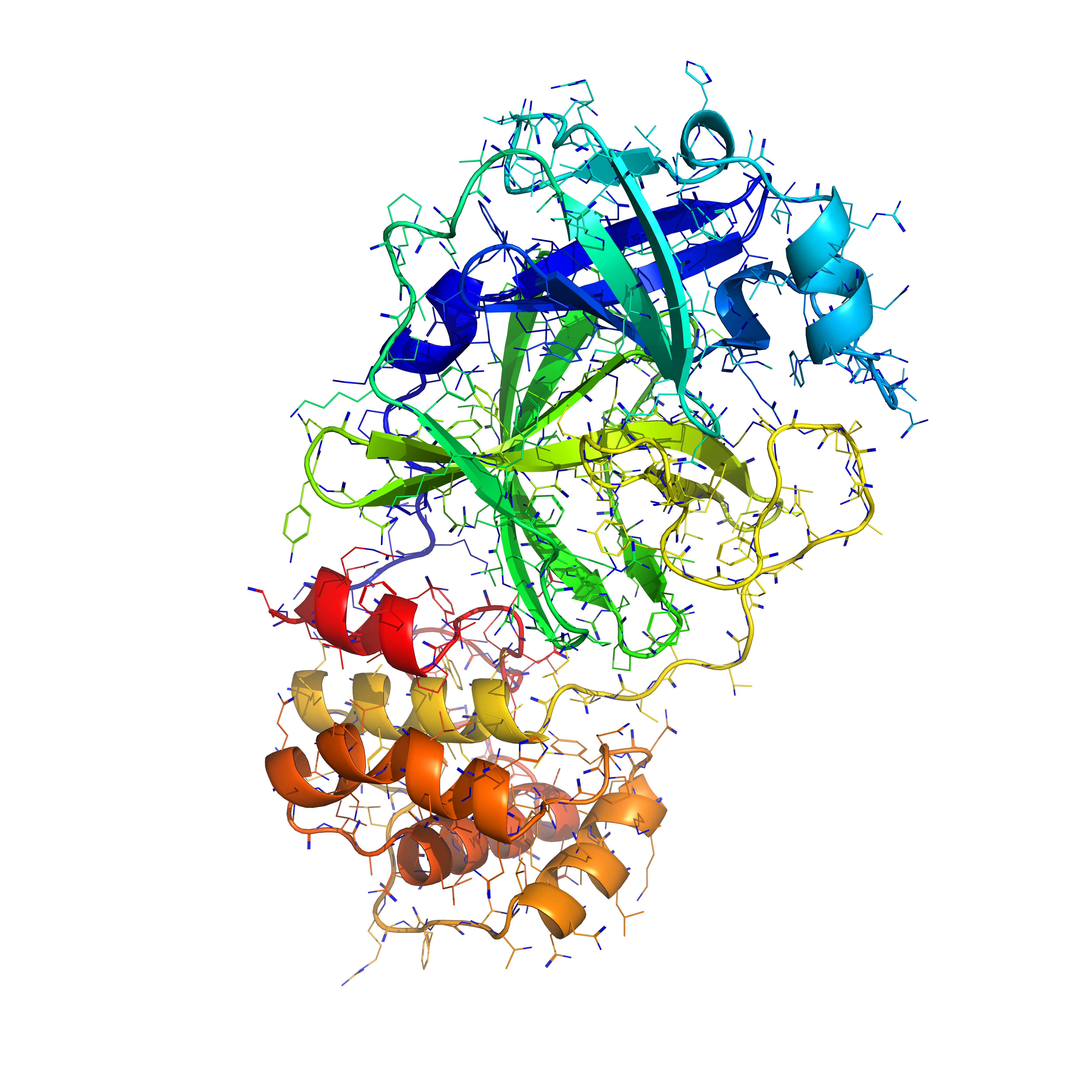 File Coronavirus 2019 Ncov Png Wikimedia Commons