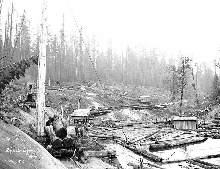 File:Crew at log dump with donkey engine, spartree, and loaded railroad flatcar, Wynooche Timber Company, Montesano, ca 1921 (KINSEY 1039).jpeg