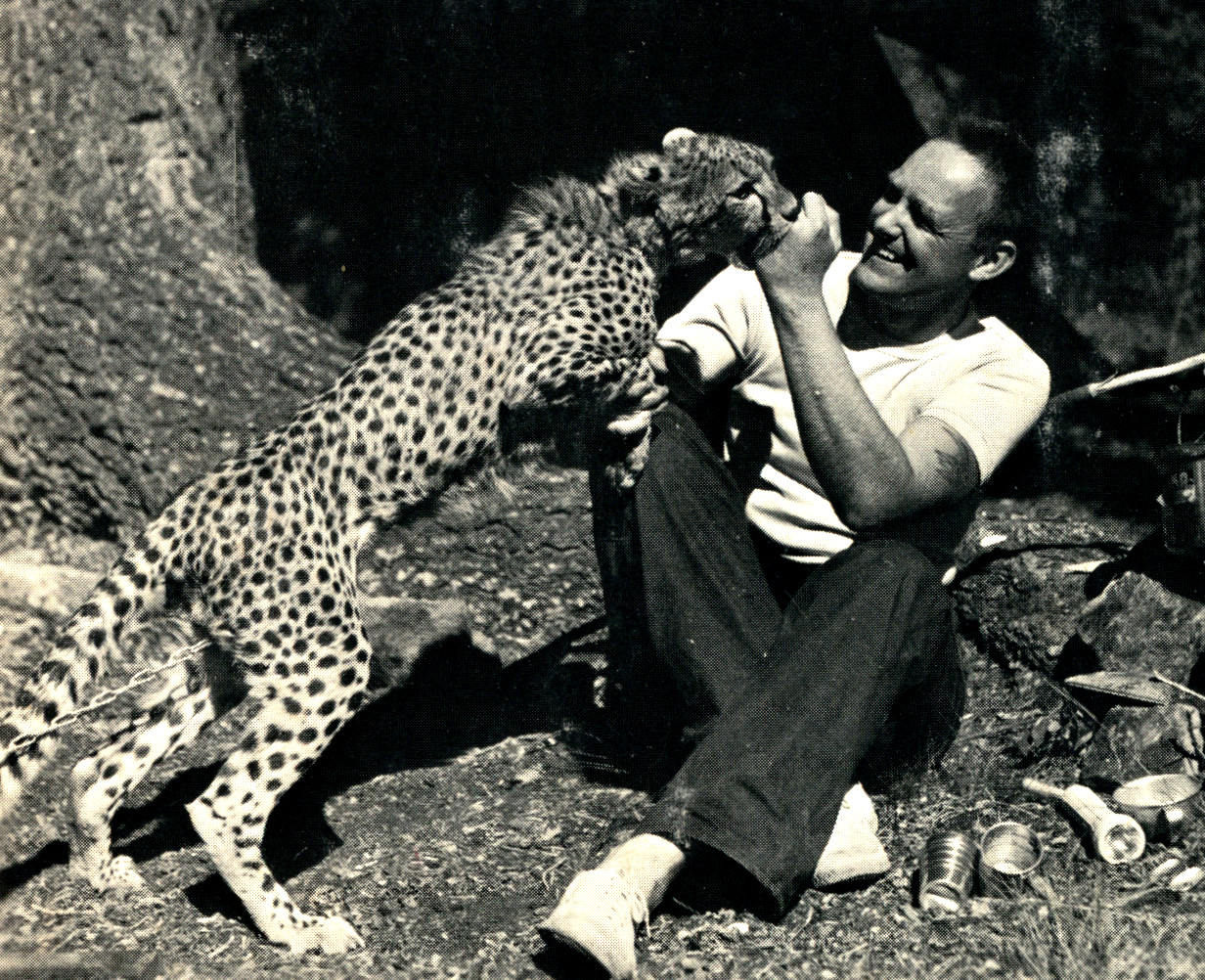 Daniel P. Mannix with trained cheetah