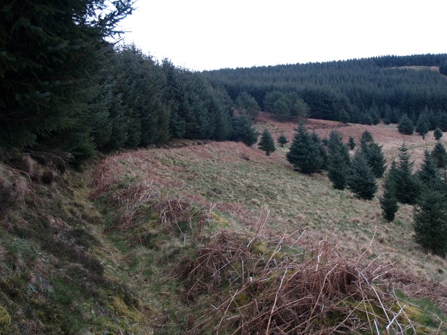 File:Drainage ditch, Dodhead - geograph.org.uk - 393836.jpg