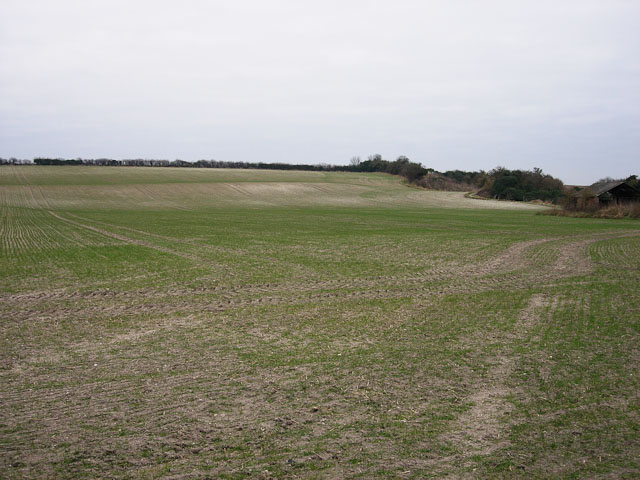 File:Edge of the Fens - geograph.org.uk - 1161129.jpg