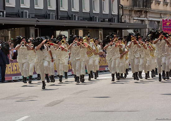 https://upload.wikimedia.org/wikipedia/commons/0/0b/Fanfare_militara_04.jpg