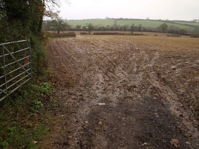 File:Field near Bow Green - geograph.org.uk - 1617124.jpg