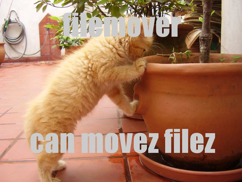 File:Filemover lolcat.jpg