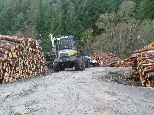 File:Forestry operations near to Tarbert, Argyll. - geograph.org.uk - 120905.jpg