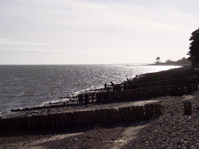 File:Groynes at Thorns Beach - geograph.org.uk - 74570.jpg