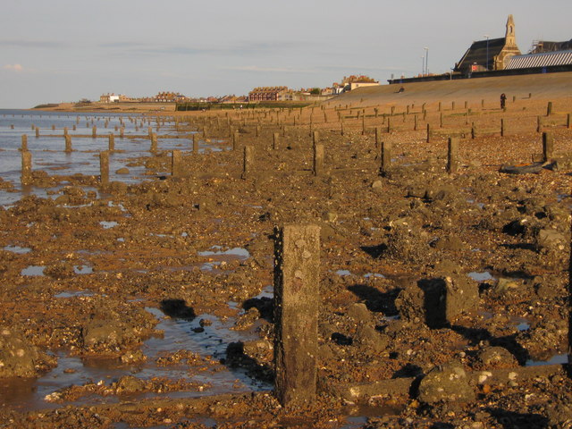 File:Groynes on Sheerness Beach - geograph.org.uk - 1278929.jpg