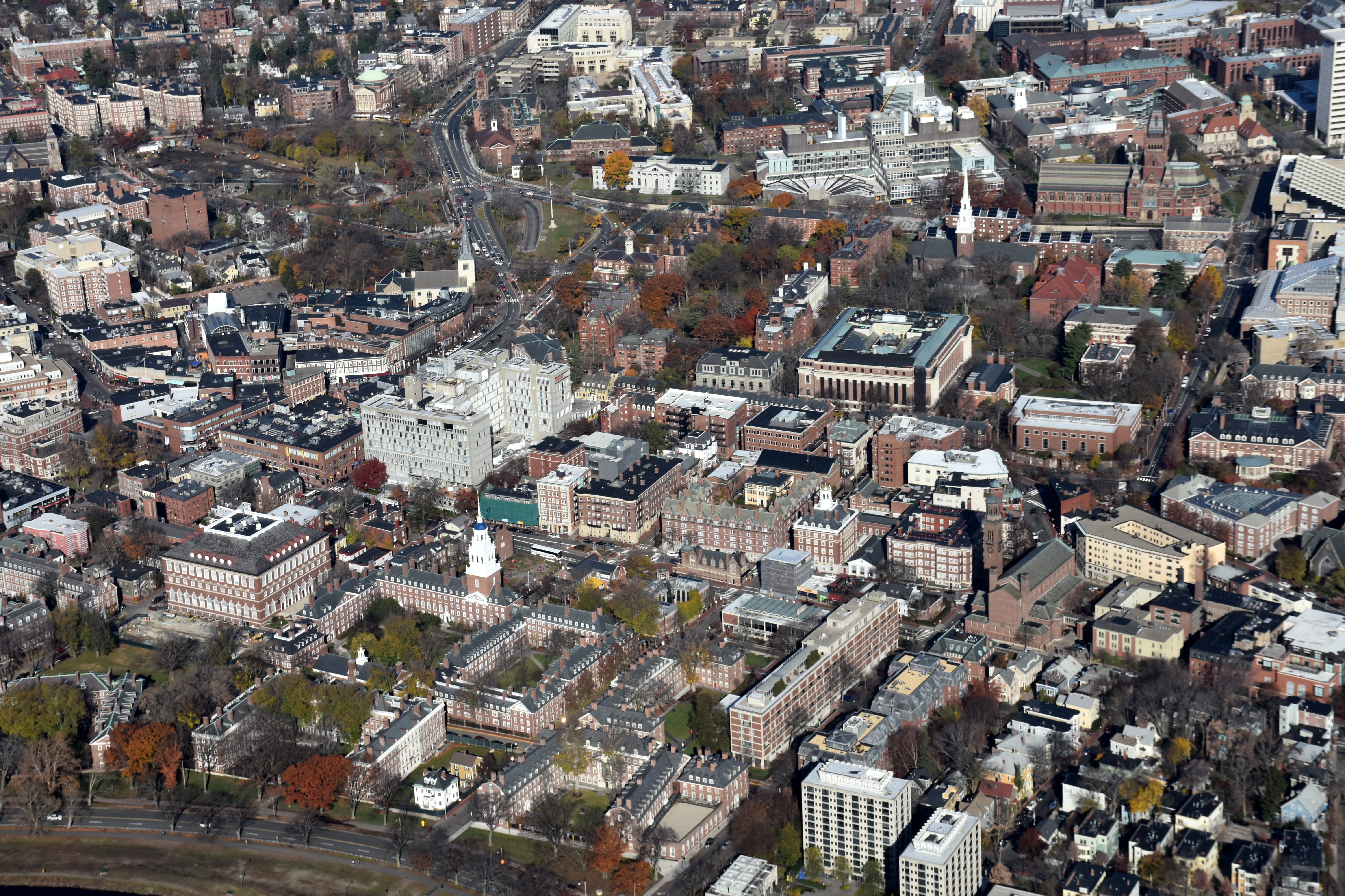 harvard campus