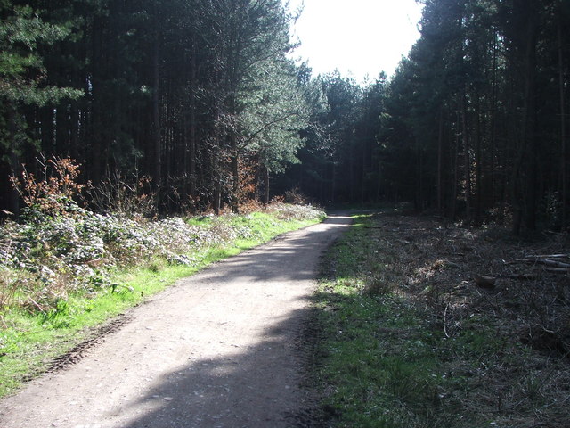 Haw Park Woods. - geograph.org.uk - 151772