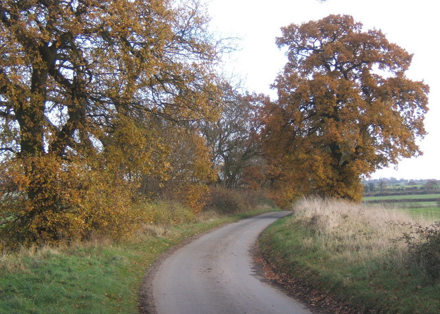 File:Lane near junction, between Gazeley and Higham - geograph.org.uk - 623095.jpg