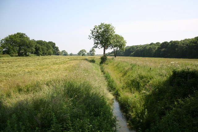 File:Little Scrubbs - geograph.org.uk - 187076.jpg