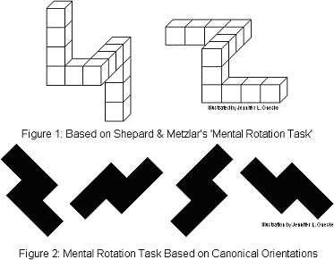 Mental rotation task. Cube assemblages based on test drawings used by Shepard and Metzler. Two-dimensional figures similar to those used in work by Shepard and Cooper.