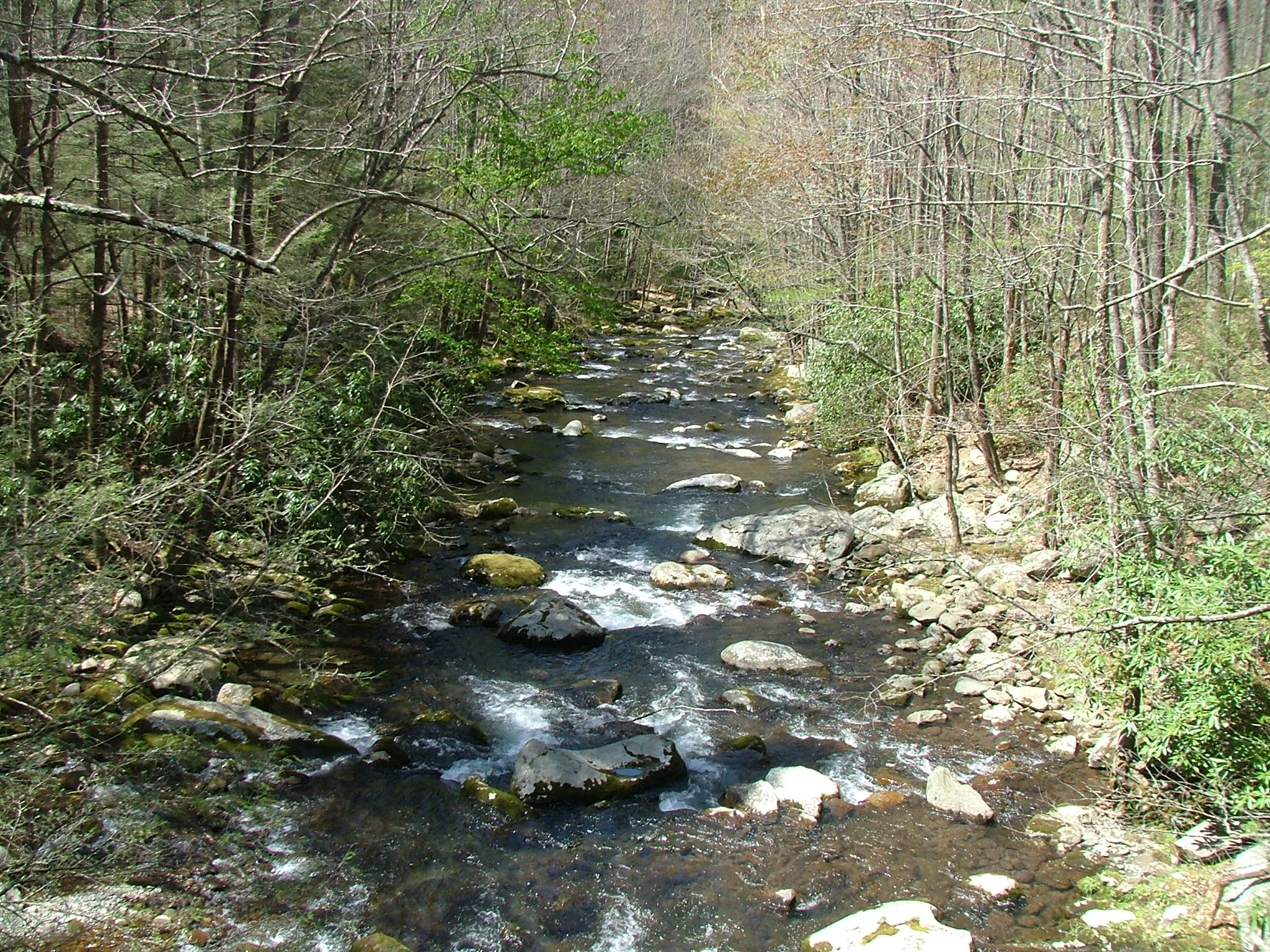 Little River Tennessee Wikipedia