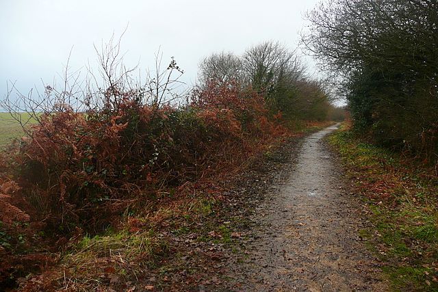 National cycle route at Chilling - geograph.org.uk - 1145176