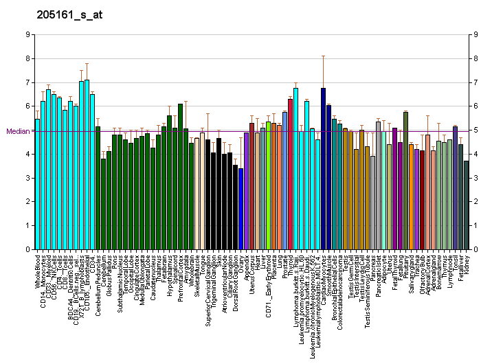 File:PBB GE PEX11A 205161 s at fs.png