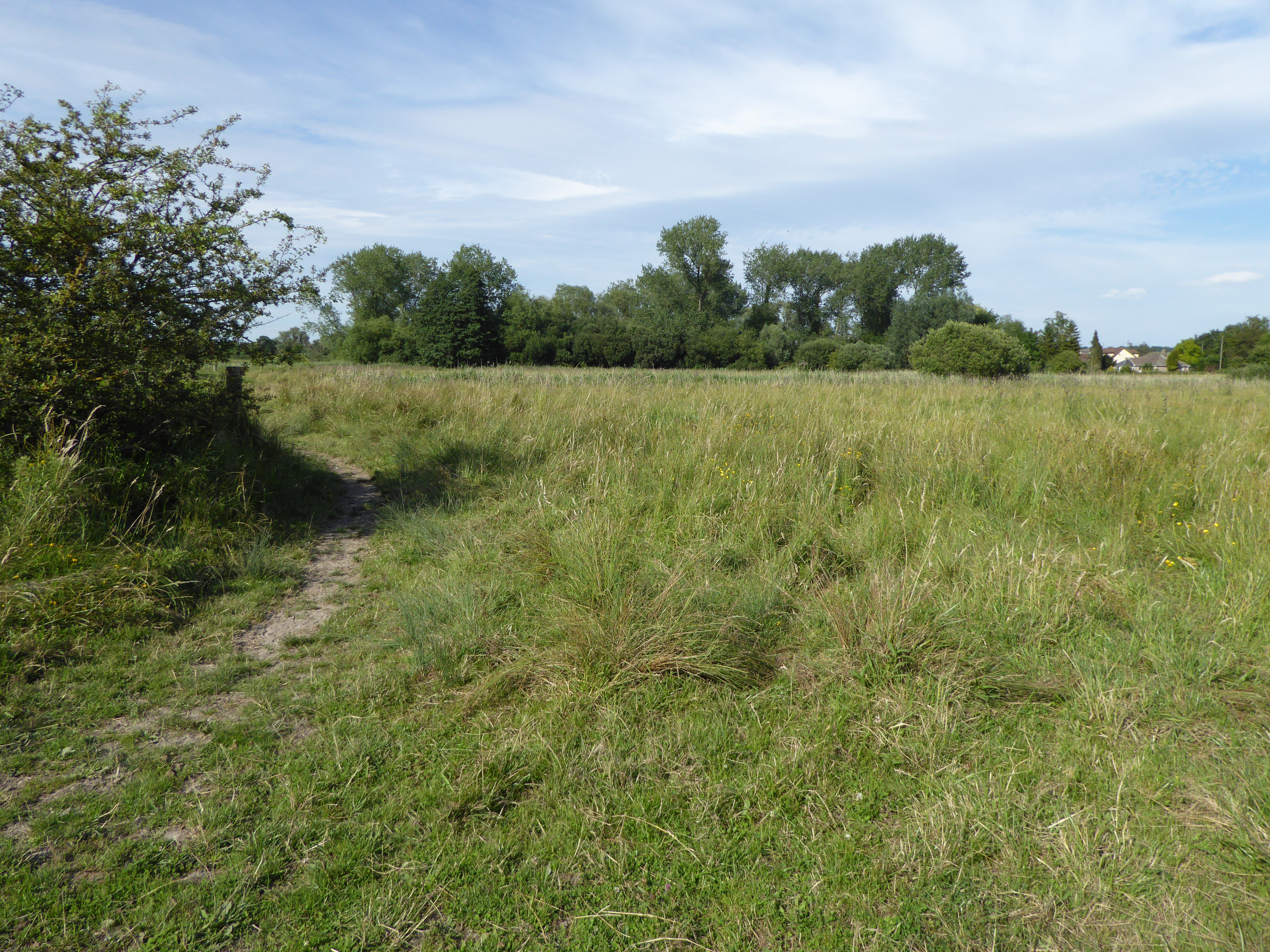 Pakenham Meadows