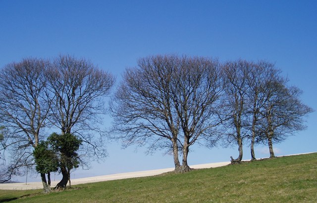 File:Park Hill, East Meon - geograph.org.uk - 132720.jpg