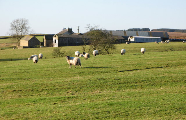 File:Pastures east of Moss Peteral - geograph.org.uk - 633593.jpg