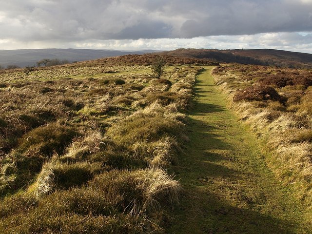 File:Path on Lydeard Hill - geograph.org.uk - 1140809.jpg