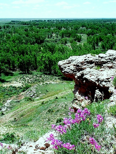Point of Rocks overlooking the wooded valley of the Cimarron River. Point of rocks.jpg