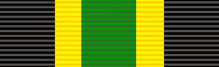 File:Ribbon - Bronze Service Medal.png