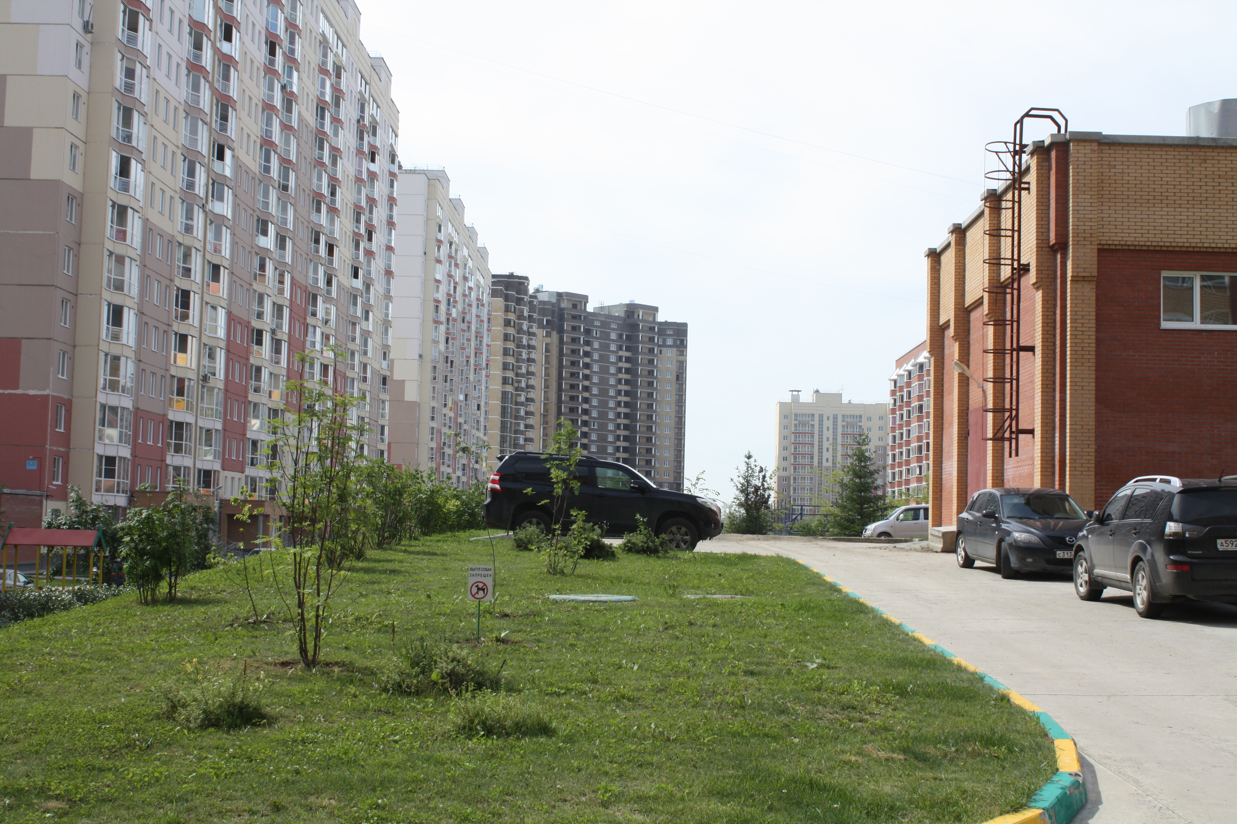 фото на документы новосибирск родники