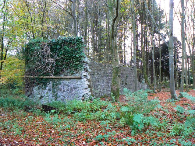 File:Ruins in the forest - geograph.org.uk - 610420.jpg