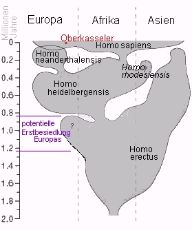 File:STAMMBA1.jpg