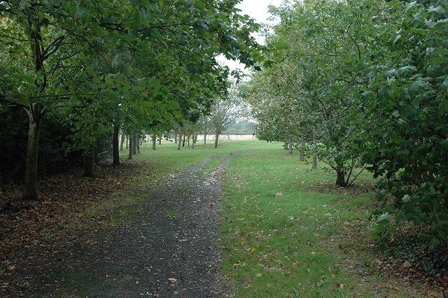 Solent Way, Hythe - geograph.org.uk - 251431