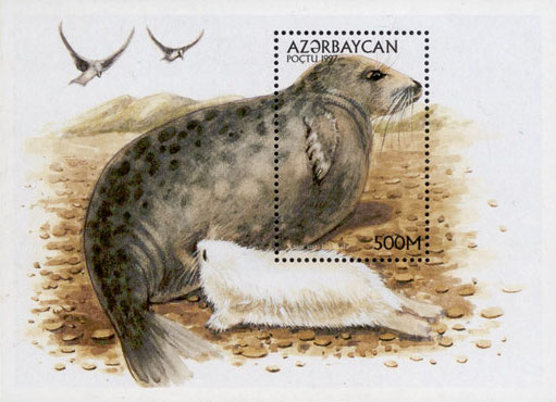 File:Stamp of Azerbaijan 477.jpg